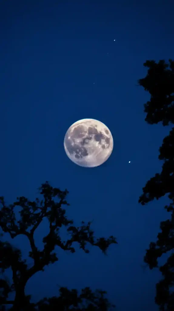 Romantic Moon Captions